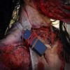 Halloween Haunters Life-Size Scary Zombie Ghoul Mutilated Woman Eating Heart Prop Decoration - Image 4