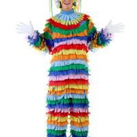 Adult Pinata Costume