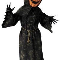 Adult Bobble Eyes Pumpkin Costume