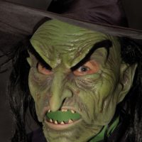 Adult Wicked Witch Mask