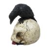 Gothic Noir Raven Skull Table Topper