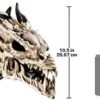 Design Toscano CL4864 Horned Dragon Skull Trophy Gothic Decor Wall Sculpture, 10 Inch, Single