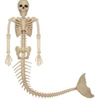 21 Inch Skeleton Mermaid Prop