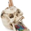 Foryo White Skull Pen Holder Office Desktop Ossuary Skulls Decor Halloween Decorations Skeleton Head Stationery Holder (White Skull)
