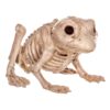 Skeleton Frog Decoration