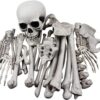 28 Pieces Skeleton Bones and Skull for Halloween Decor or Spooky Graveyard Ground Decoration
