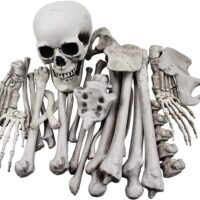 28 Pieces Skeleton Bones and Skull for Halloween Decor or Spooky Graveyard Ground Decoration