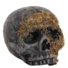 Moss Covered Skull Halloween Decoration