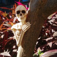 14" Skeleton Tree Peeker Halloween Decoration