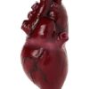 Bloody Heart
