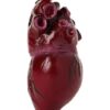 Bloody Heart