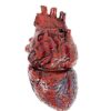 Bloody Heart